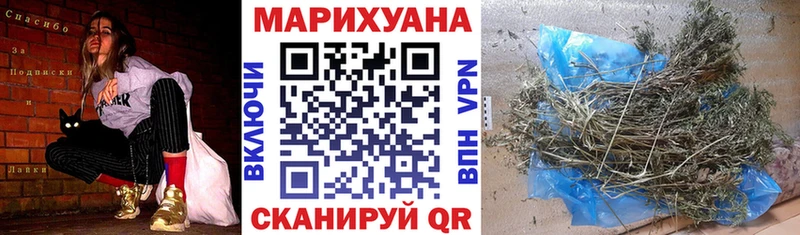 Канабис планчик Полярный